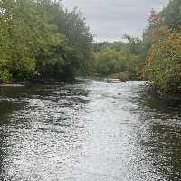 rudypeartаватарка